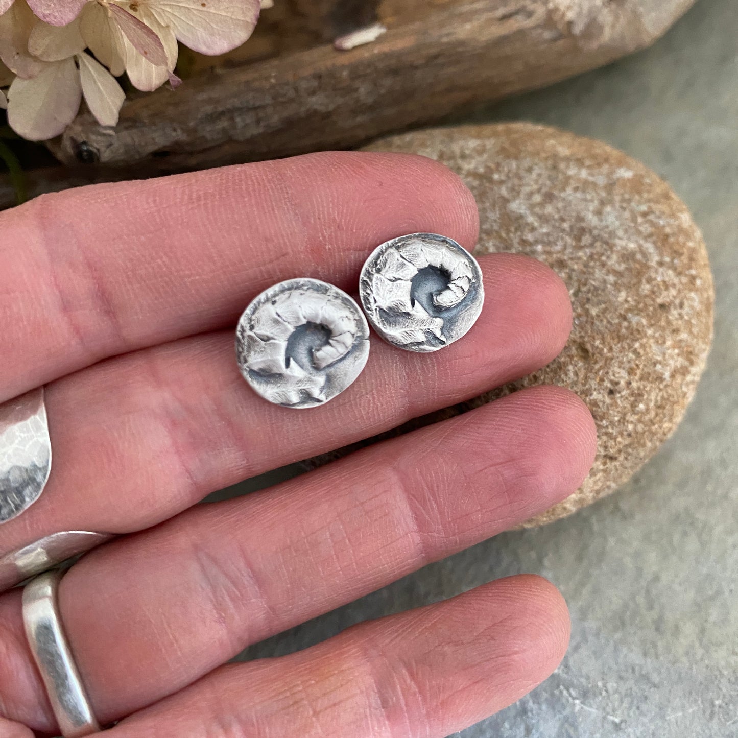 Fiddlehead Fern Posts