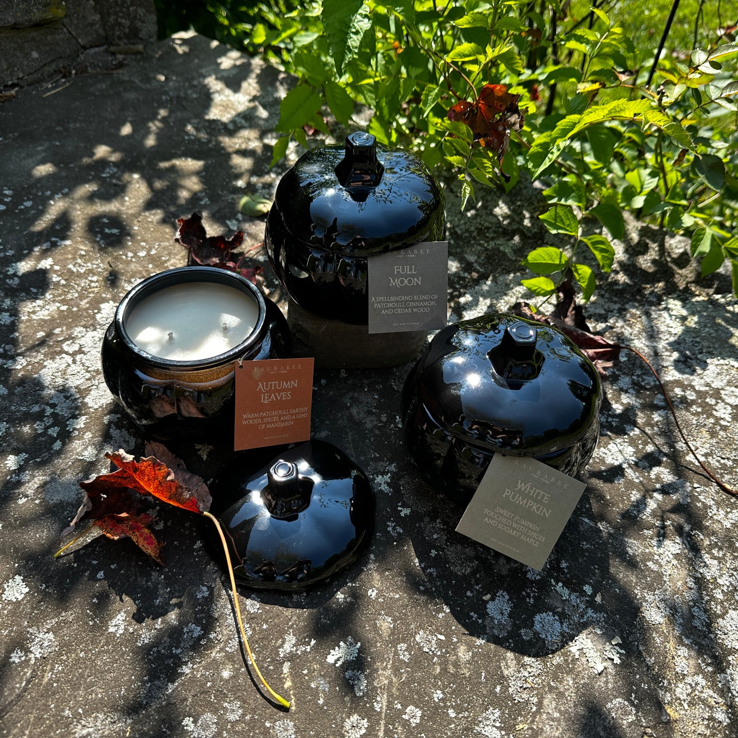 Black Glass Pumpkin Soy Candle