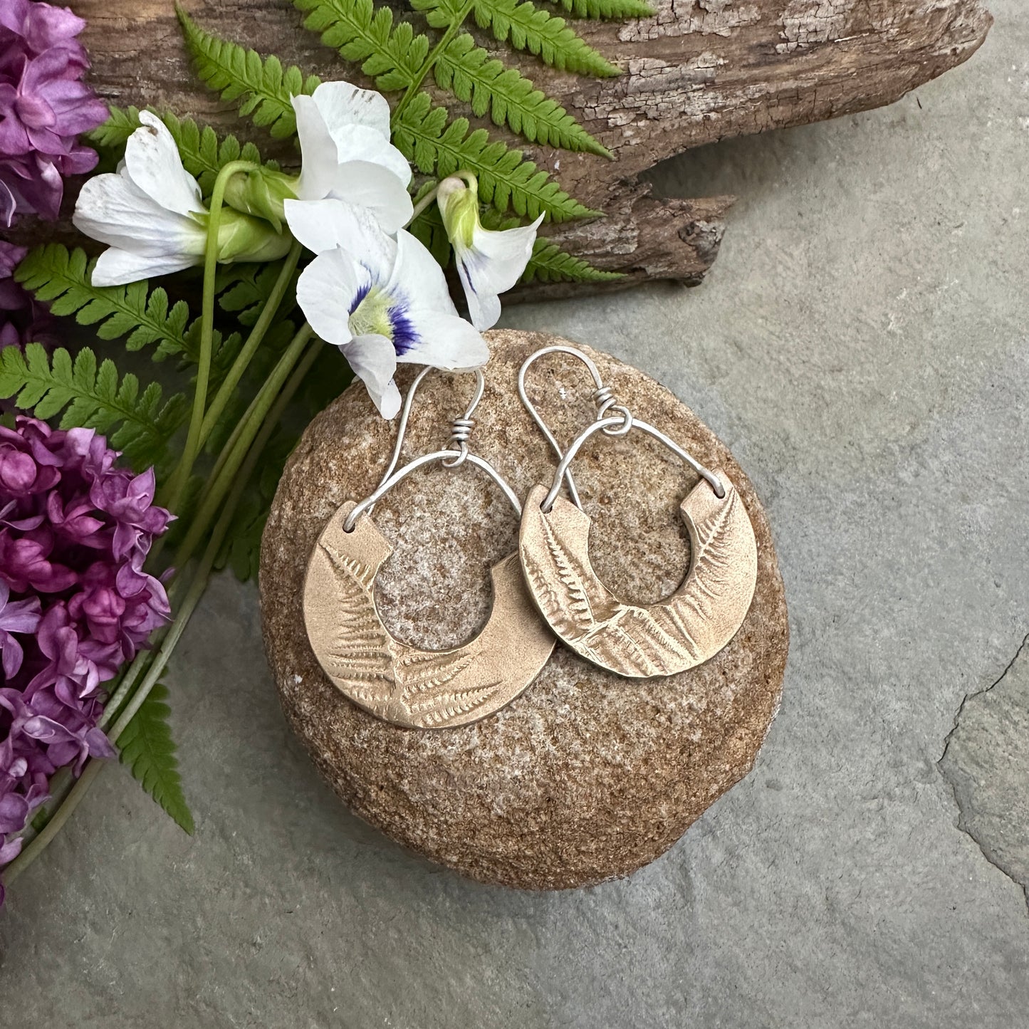 Bronze Ferns