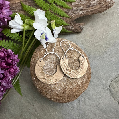 Bronze Ferns