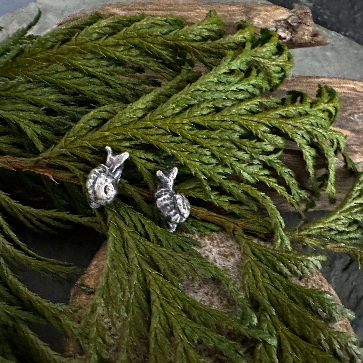 Sterling Silver Snail Post Earrings