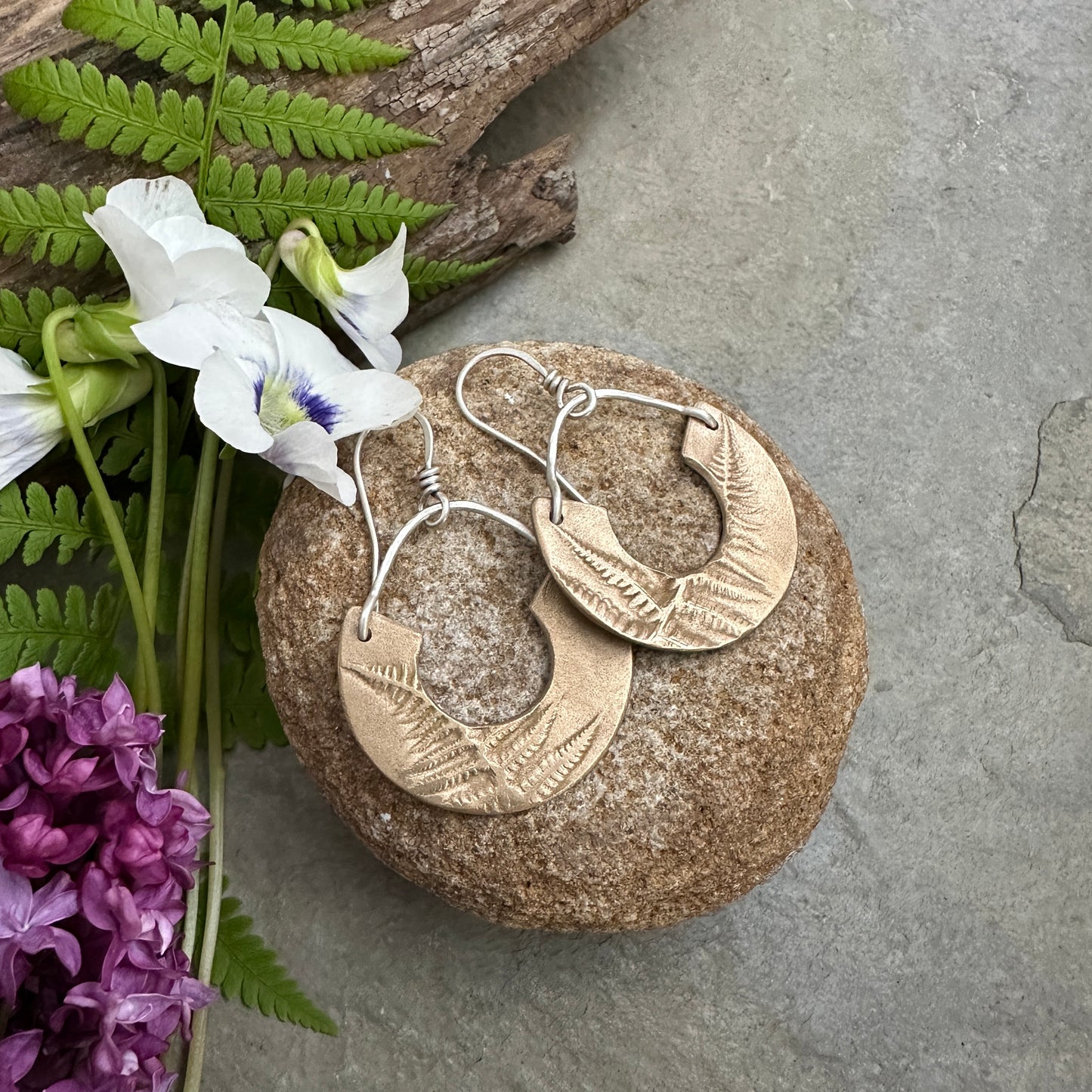Bronze Ferns