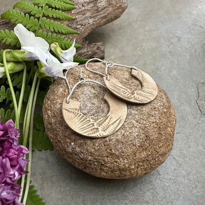 Bronze Ferns