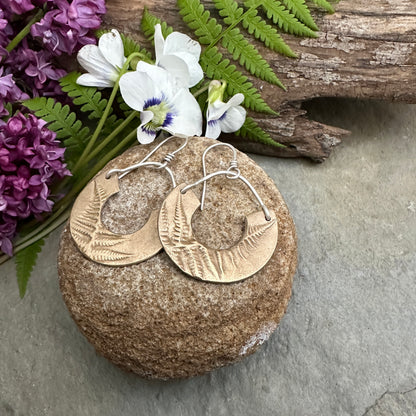 Bronze Ferns