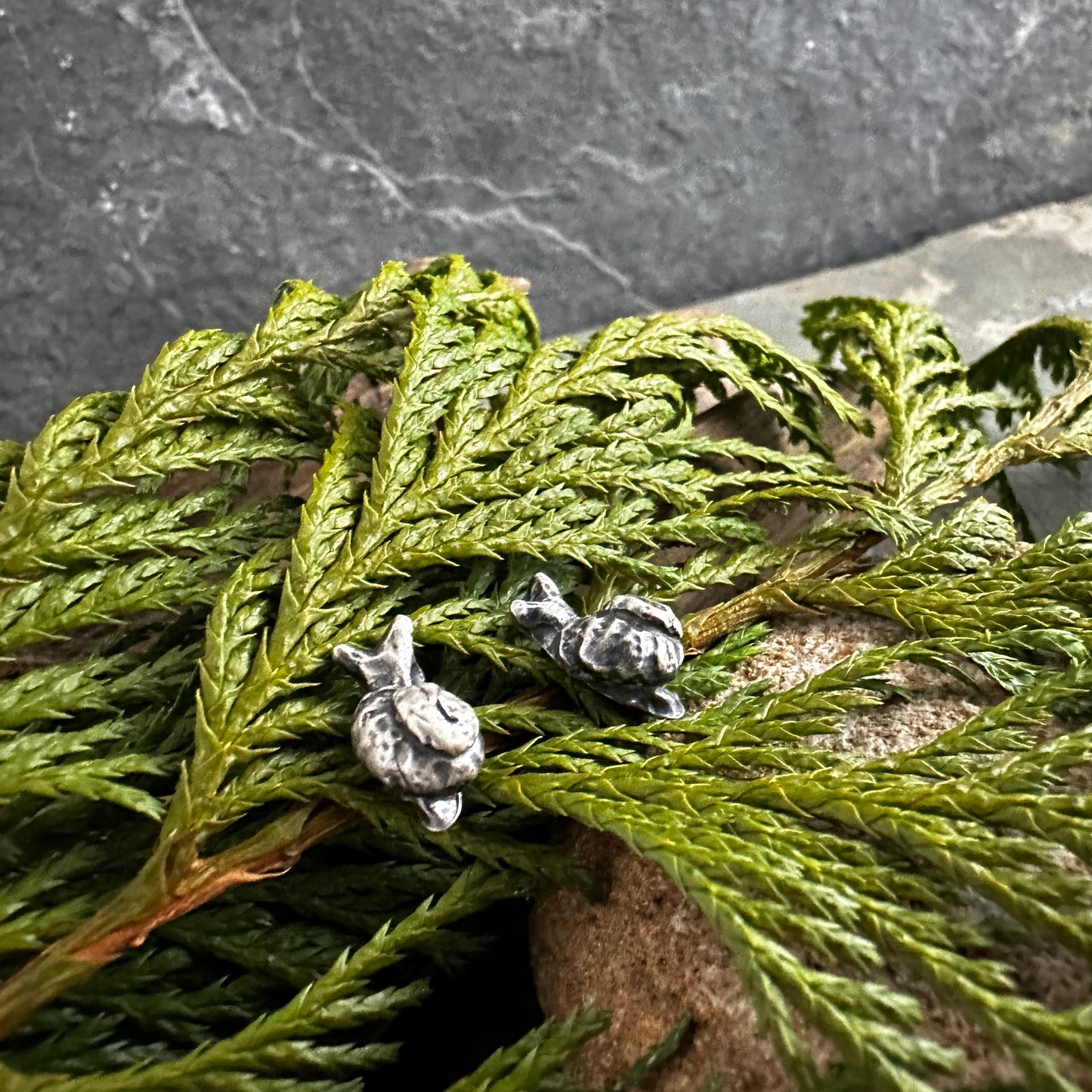 Sterling Silver Snail Post Earrings