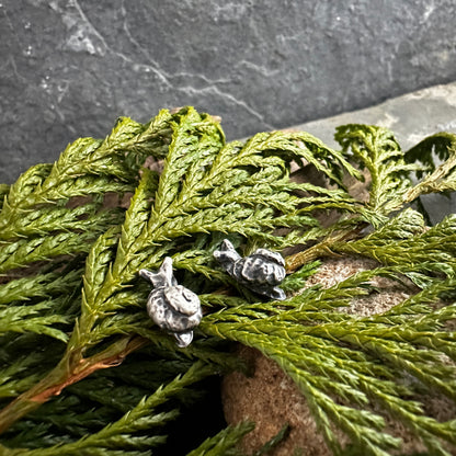 Sterling Silver Snail Post Earrings