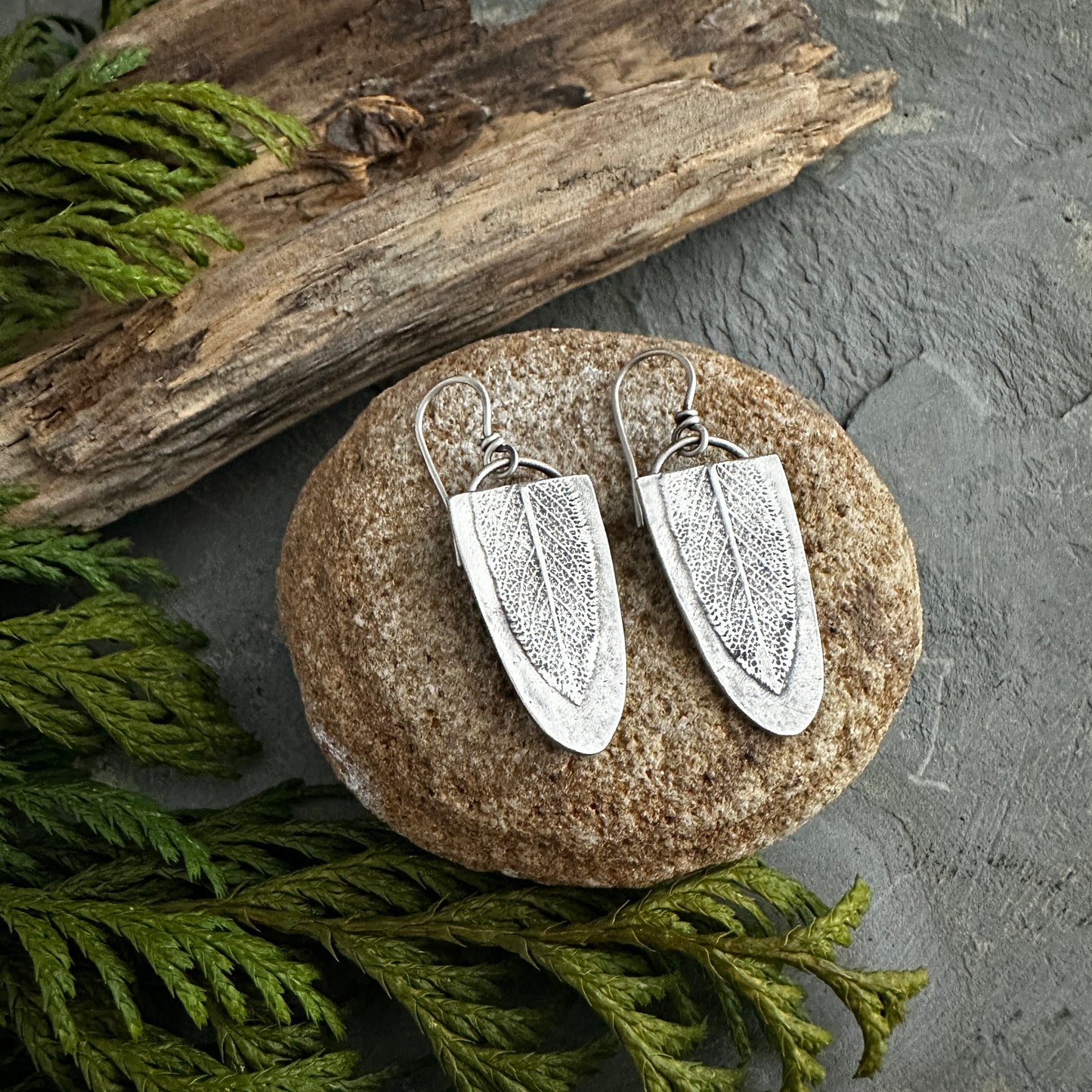 Sterling Silver Sage Leaf Shield Earrings